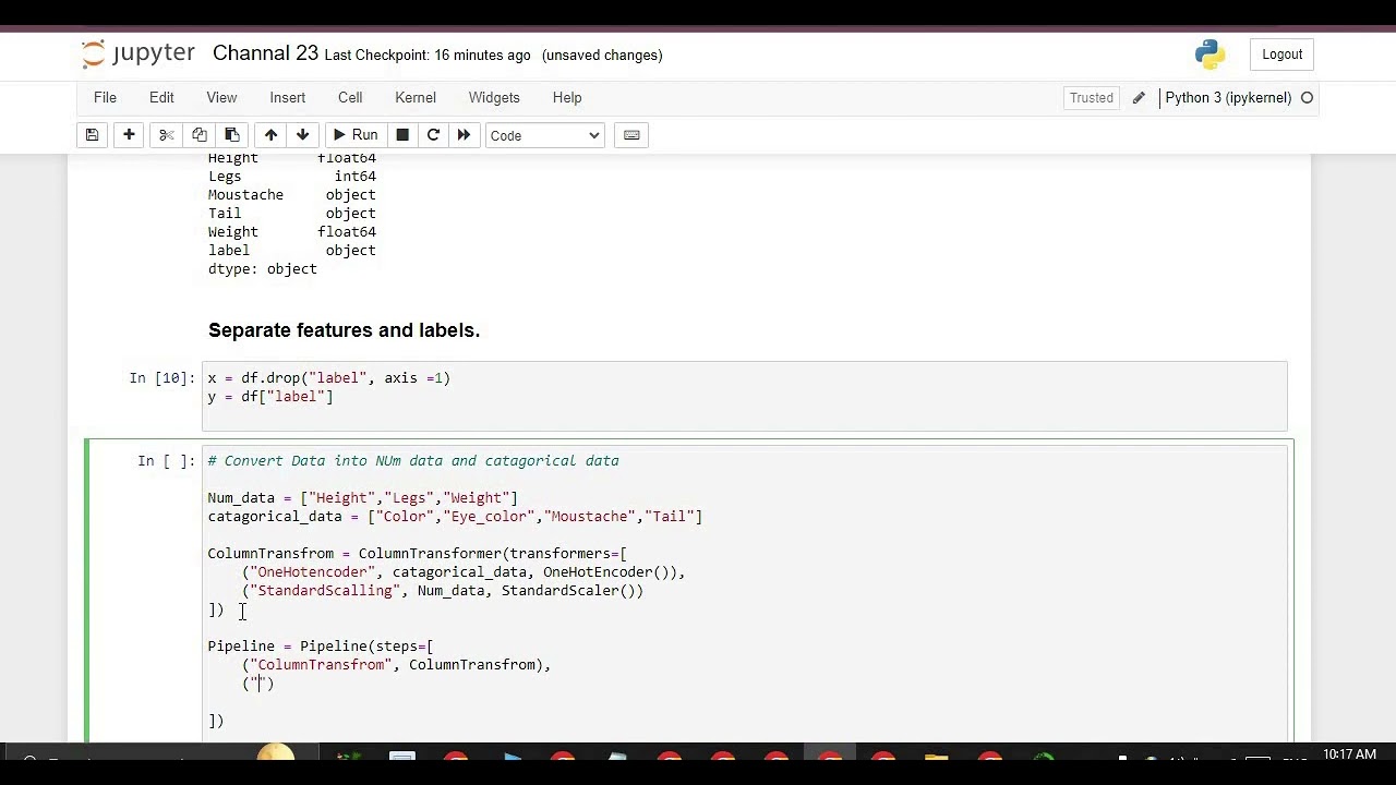 Cat vs Human: Training Machine Learning Models Explained! Part :14