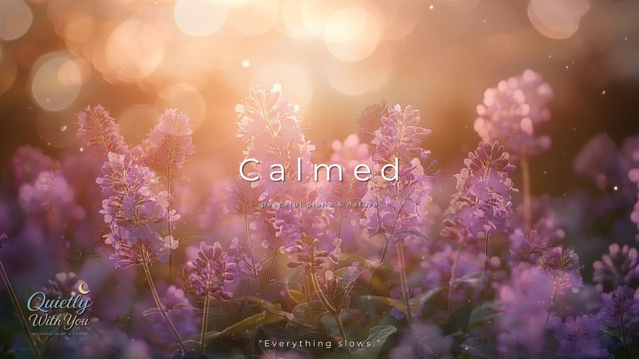 Calmed Piano Music | Gentle Piano for Deep Relaxation & Peaceful Nature Ambience