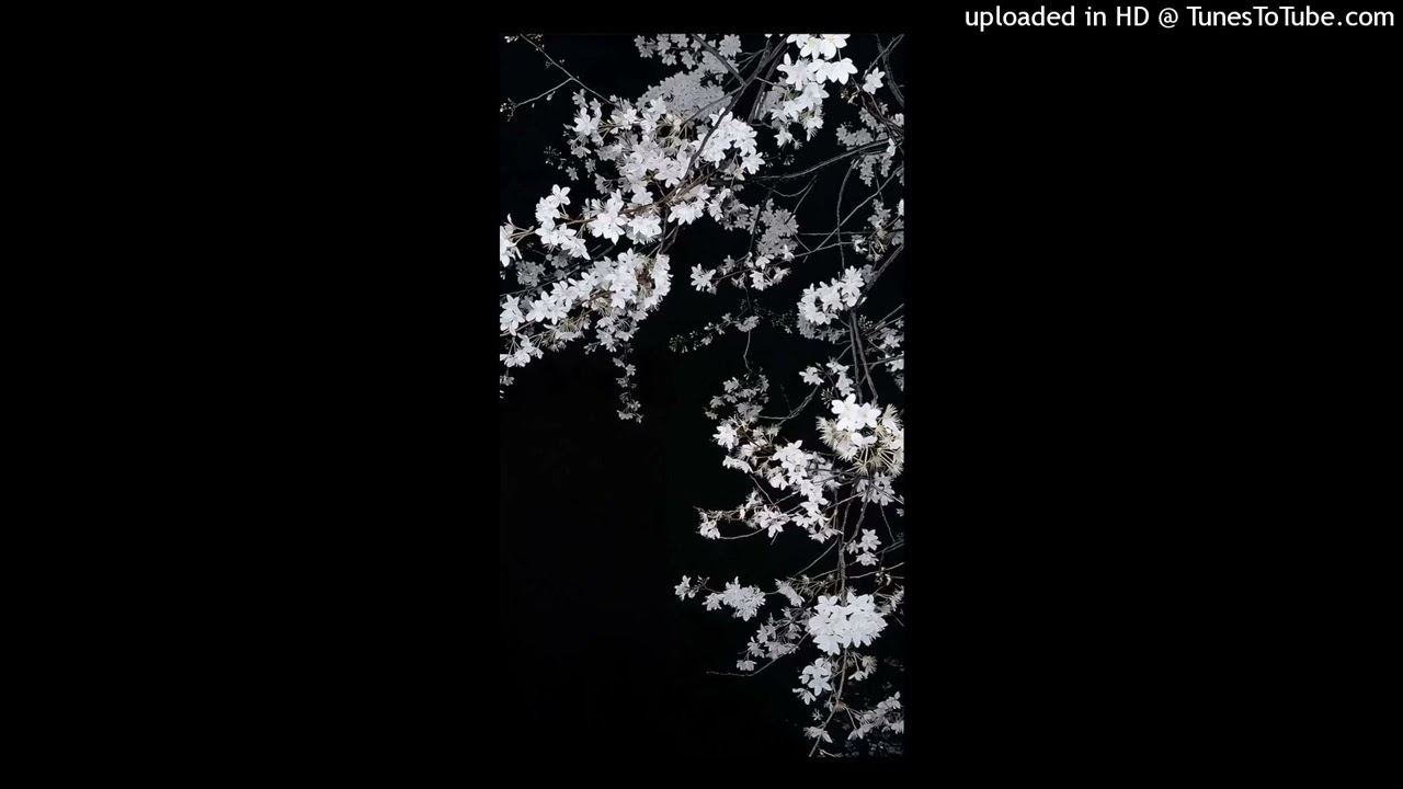 [free] presha + tempo + portrait type beat - 