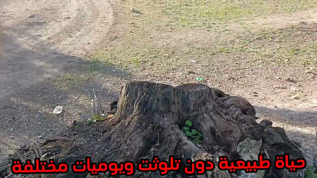 أفضل وأجمل البوادي في العالم 