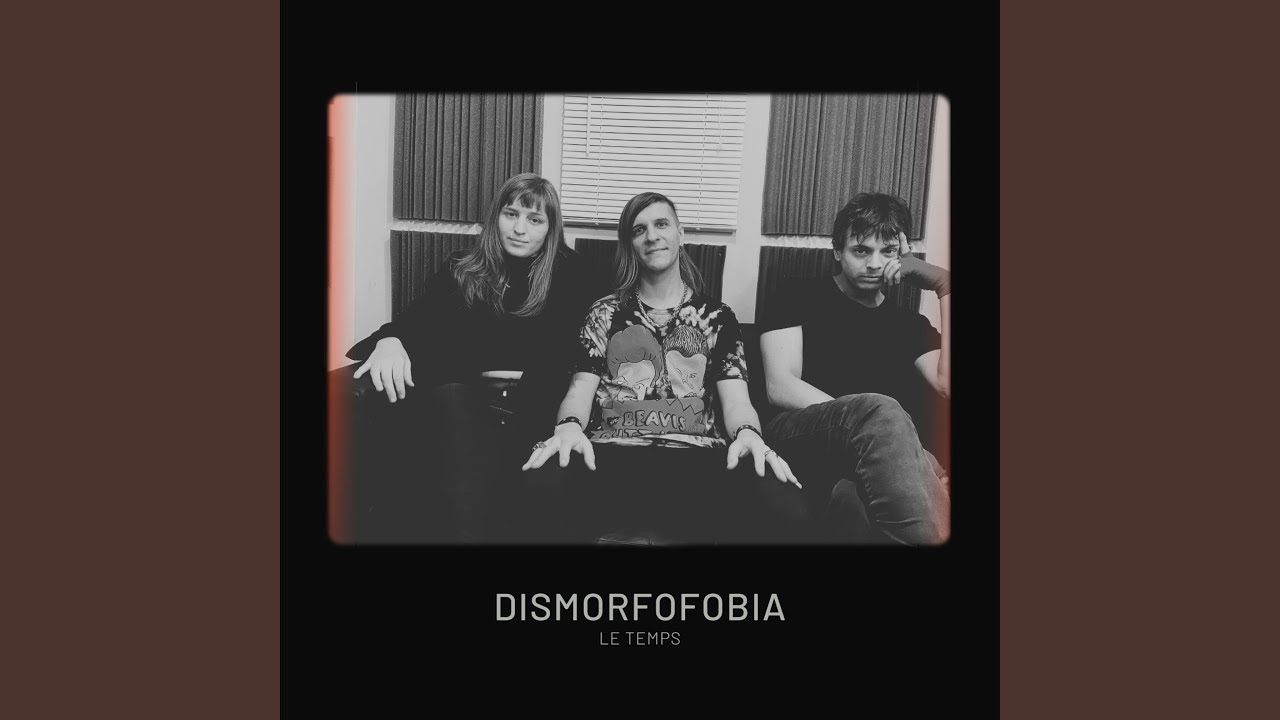 Dismorfofobia