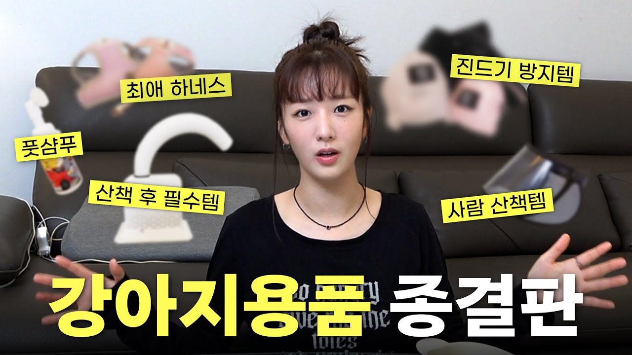 10년차 강아지 집사 뽀미의 강아지 용품 정착템🐾