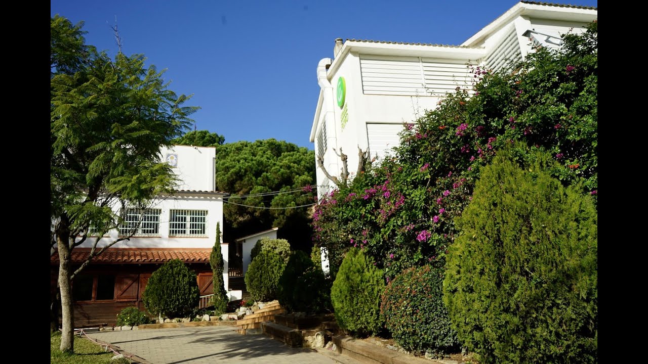 L'escola que ens agrada. PINO ALELLA, 2025