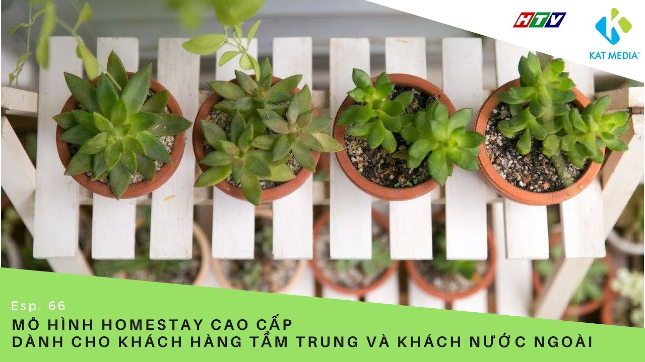 [CĐKD] Số 66 - Mô hình homestay cao cấp dành cho khách hàng tầm trung và khách nước ngoài