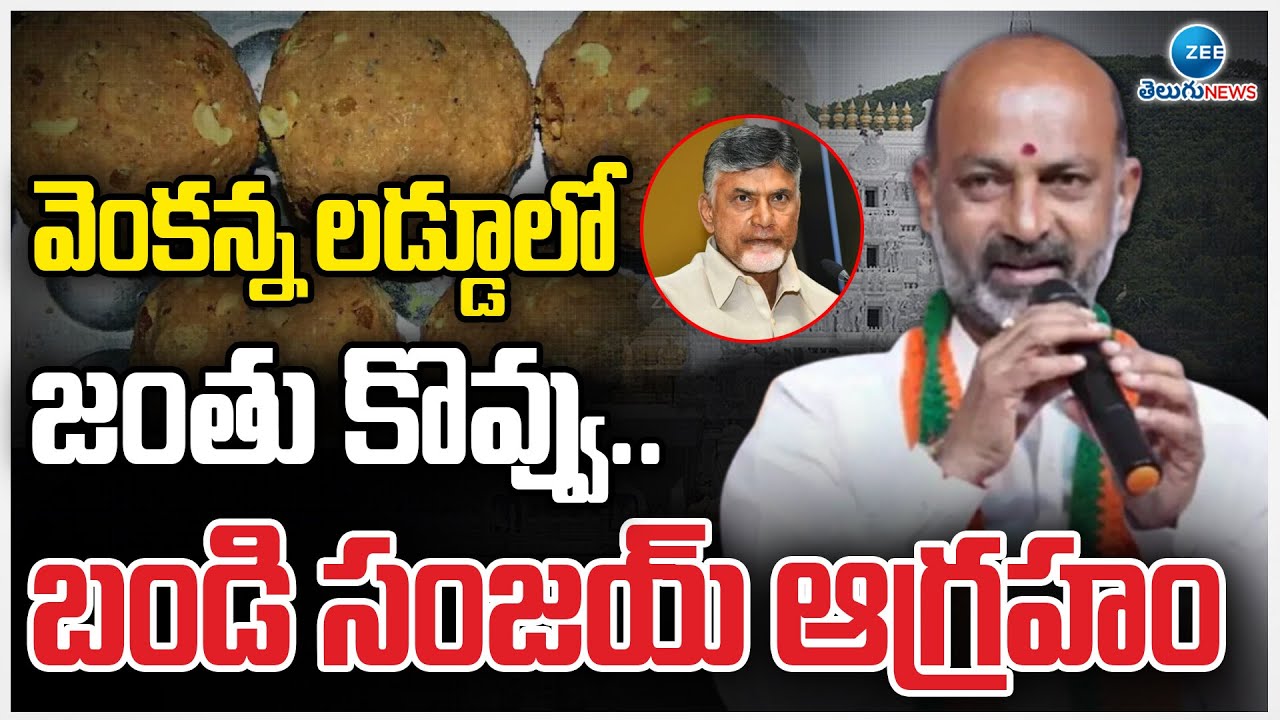 Bandi Sanjay Serious On Animal Fat in Tirumala Srivari Laddu  | వెంకన్న లడ్డూలో జంతు కొవ్వు.. | ZEE