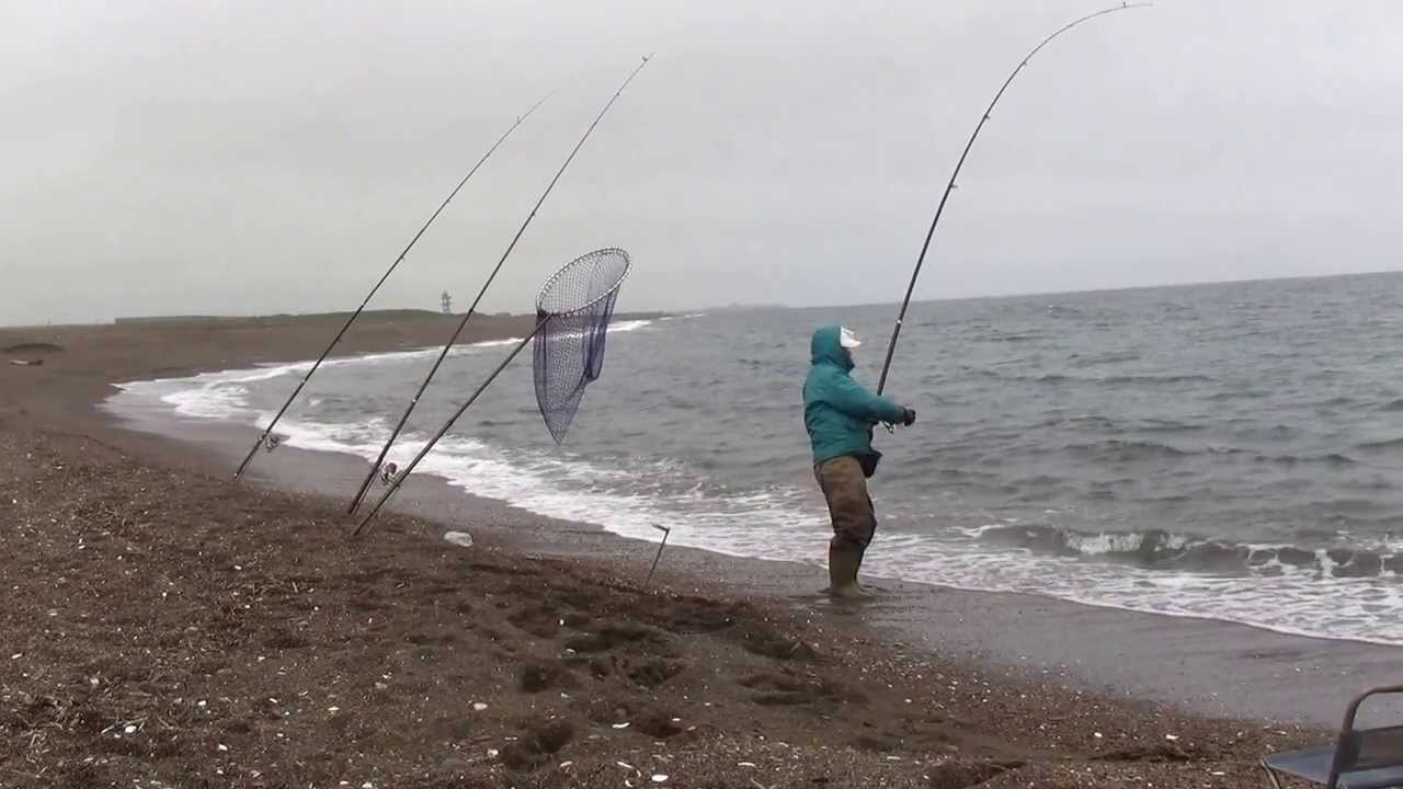 北海道の海でイトウ釣り