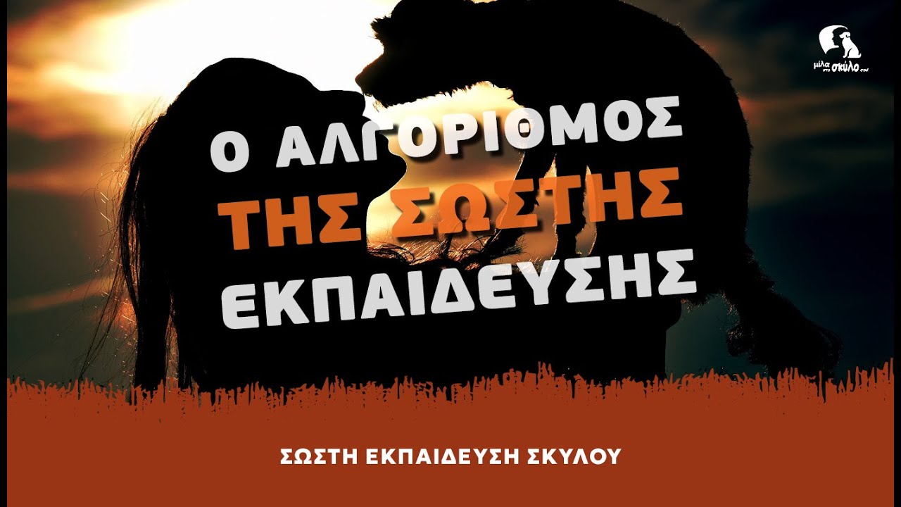 ΣΩΣΤΗ ΕΚΠΑΙΔΕΥΣΗ ΣΚΥΛΟΥ #13 - Ο 
