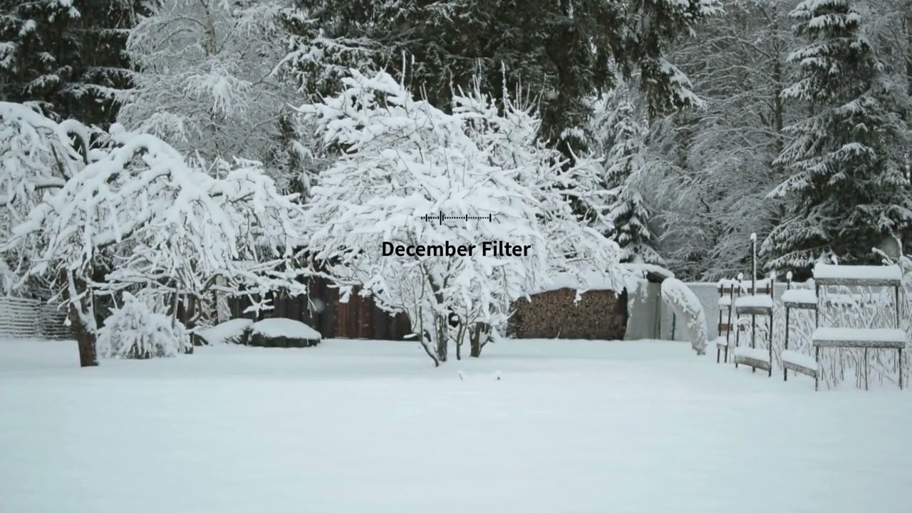 [Playlist] Late Night Winter Vibes :: December Filter