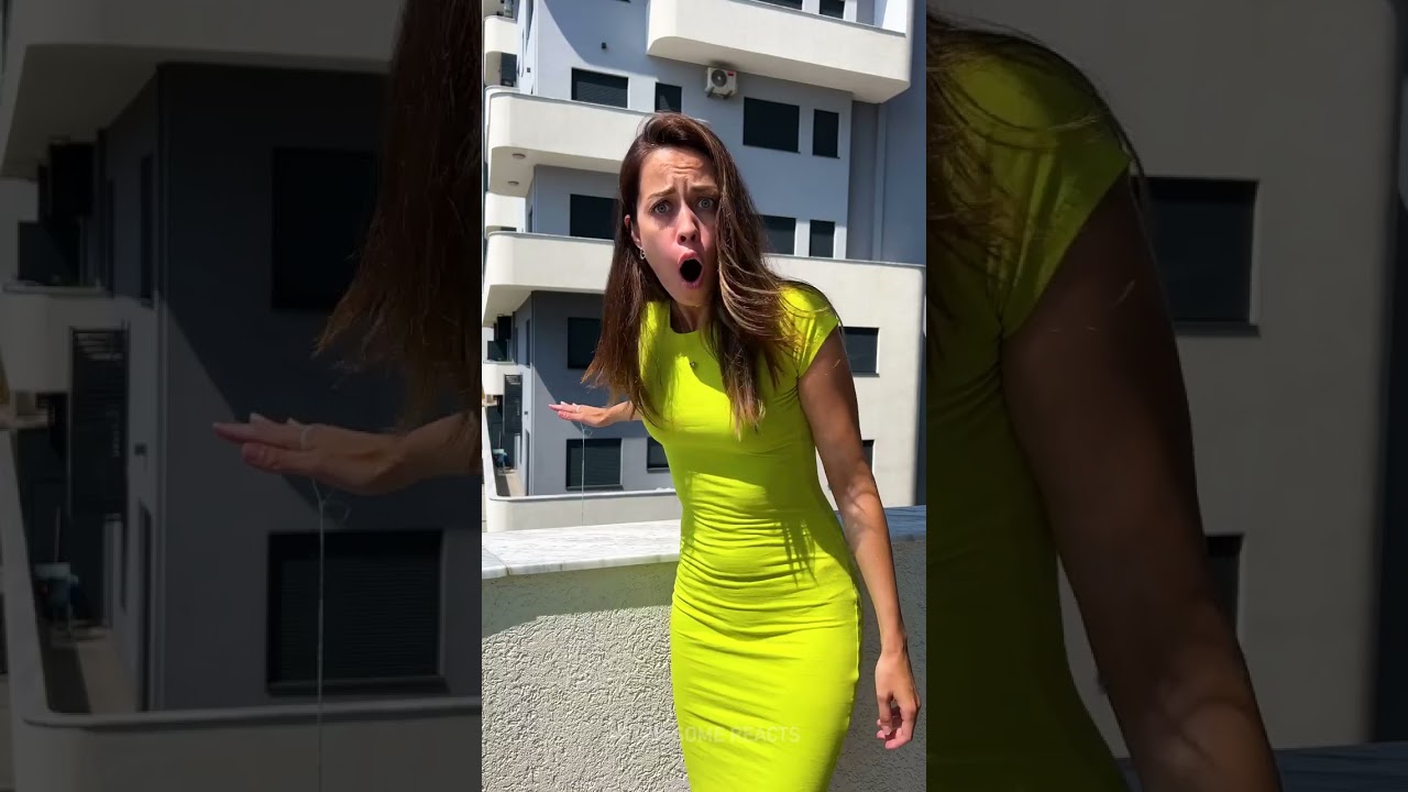 🧸😱 Cat Toy Prank Gone Wrong! Watch the Cat’s Move & Owner’s Reaction! 😲🐱