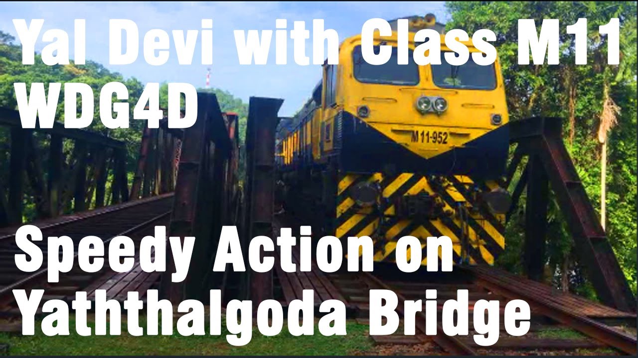 Trains on Yaththalgoda Bridge - Part 2 | Speedy Yal Devi | Class M11 | WDG4D