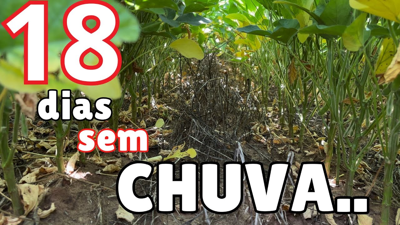 E A CHUVA ESCAPOU NOVAMENTE... e agora??