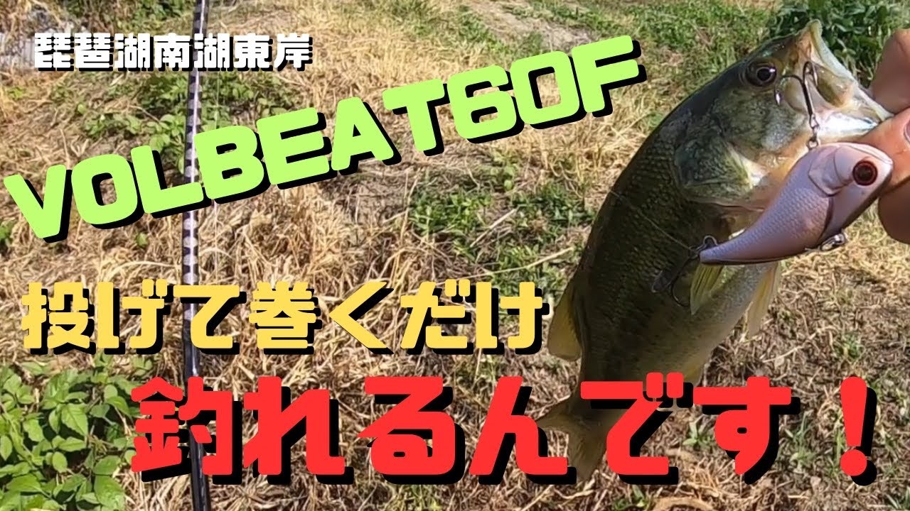 【琵琶湖バス釣り】レヴォニックのVOLBEAT(ヴォルビート)60Fで水路攻略！フローティングバイブレーションってほんと便利だし釣れる！