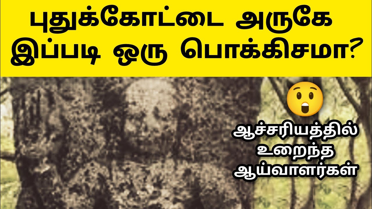 விரான் பற்றி அரிய தகவல் 😲 Pudukkottai - Viran History in Tamil | Viran Varalaru