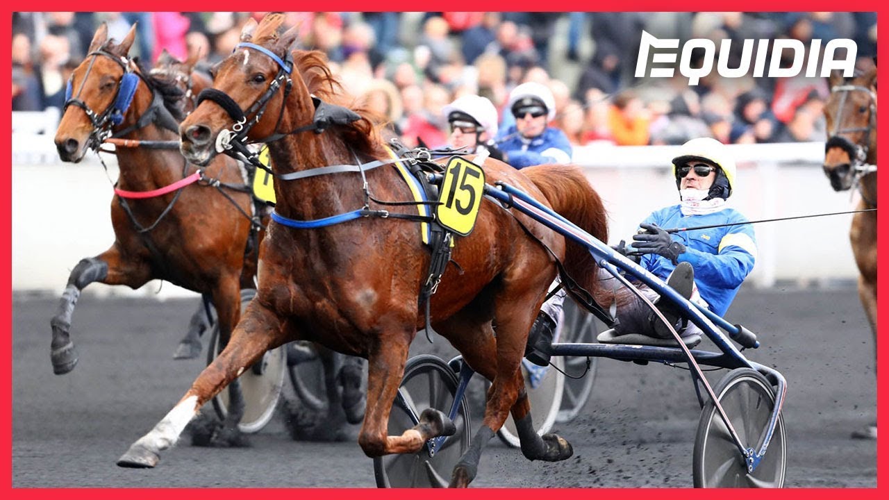 BELINA JOSSELYN PRÊTE À DÉFENDRE SON TITRE ! | Prix de Belgique 2020 | Vincennes | Groupe 2