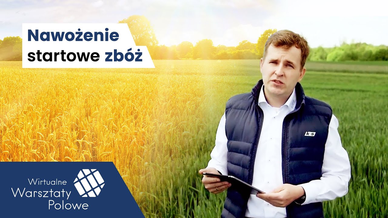 Nawożenie startowe zbóż | Wirtualne Warsztaty Polowe 2020
