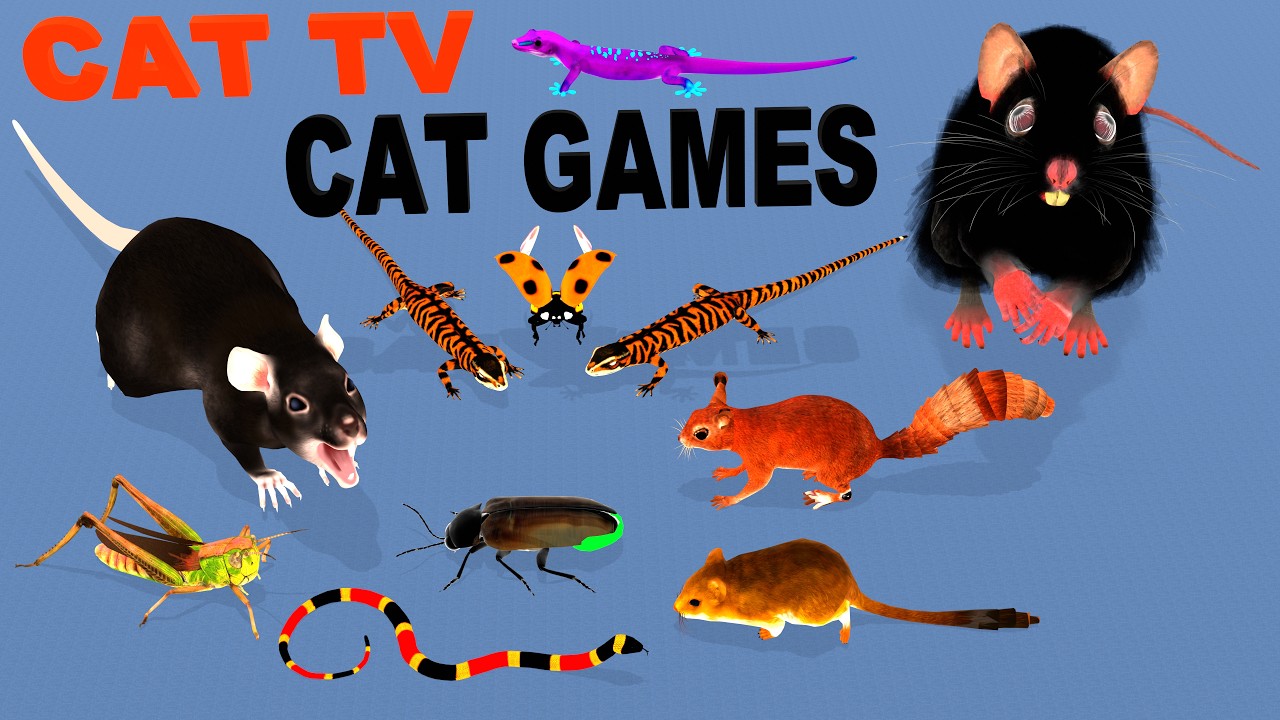 CAT TV 3D ! 😻 4K Mice, Lizards, Bugs & Snake – Ultimate Cat Games 2026