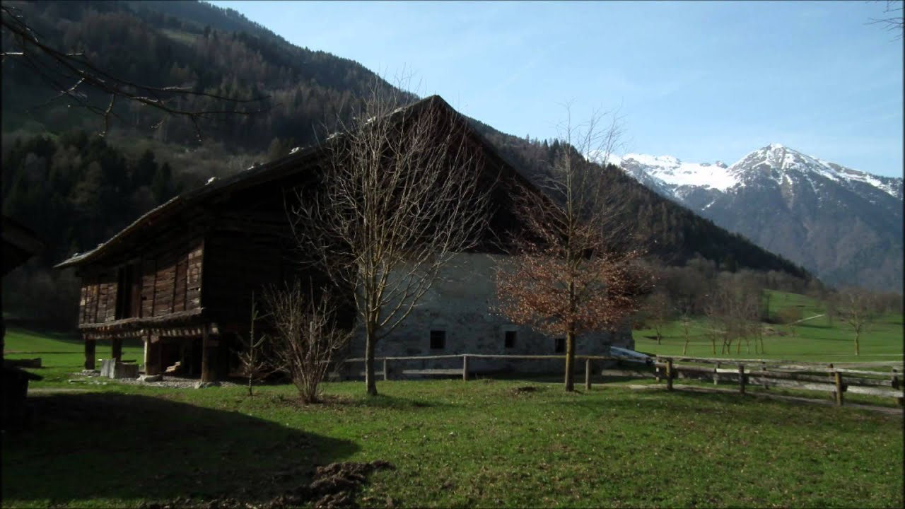 Passeggiando fra boschi e prati...in primavera