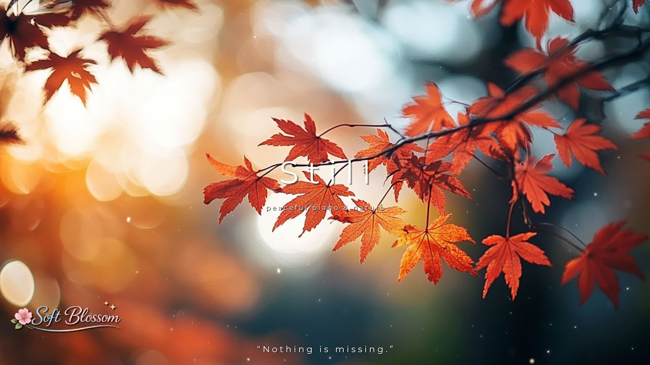 Still — Peaceful Piano and Nature for Quiet Acceptance, Autumn Calm, and Gentle Inner Balance