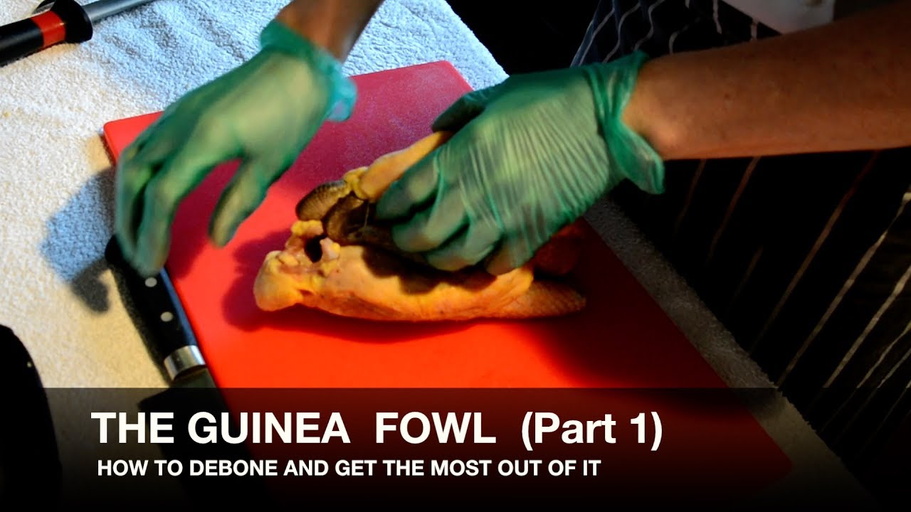 How to Debone the GuineaFowl Part 1