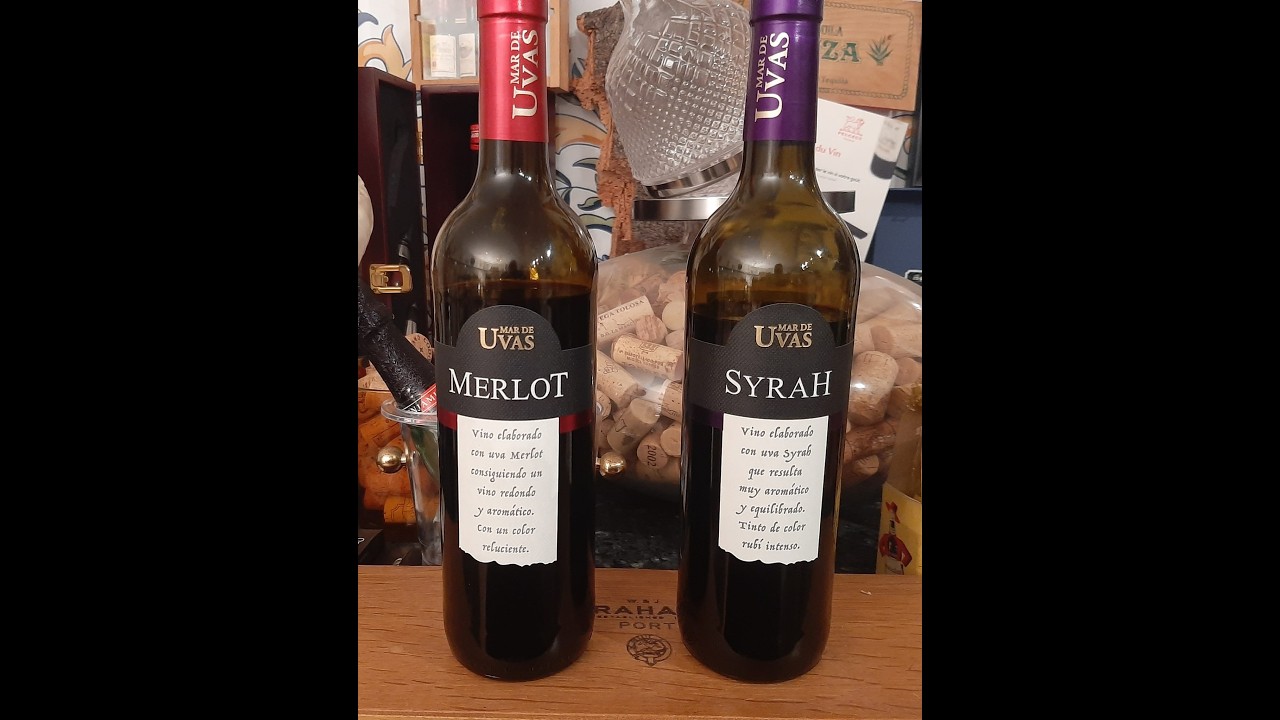 267 - Diferencias entre vinos de merlot y vinos de syrah