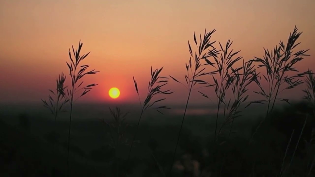 “Before the Name Was Spoken” A Song of Original Unity — Not Sung, But Remembered