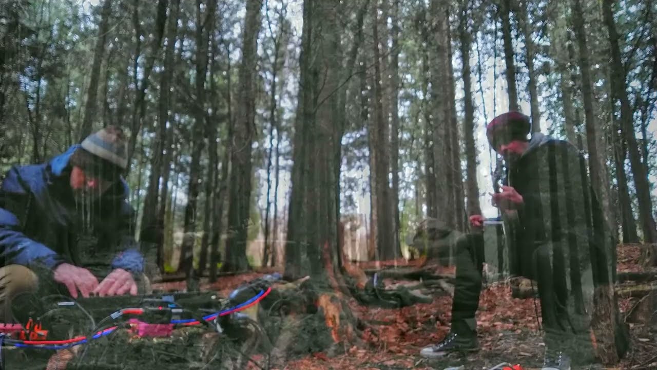 Apple - ambient-in-the-woods | An ambient guitar and synth jam ft Lewis Harding using a guitar bow