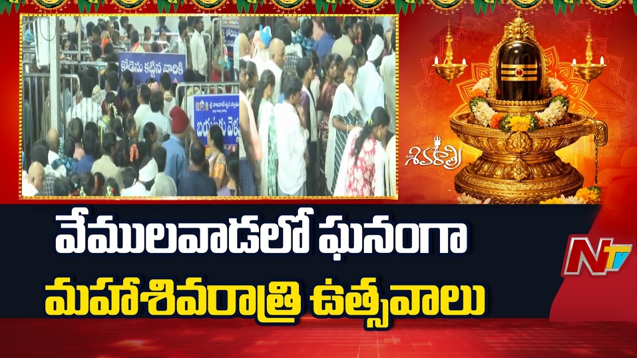 వేములవాడలో ఘనంగా మహాశివరాత్రి ఉత్సవాలు | Mahashivratri celebrations in Vemulawada | NTV Telugu