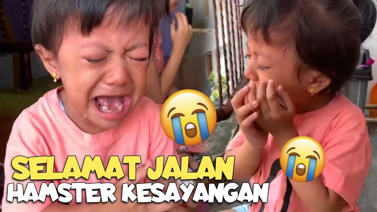 HISTERIS ! SELAMAT JALAN HAMSTER, KAMU GASAKIT LAGI😭