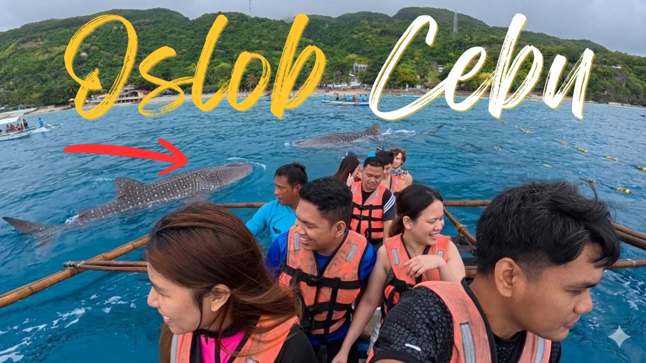 Oslob Whalesharks Encounter | Cebu, Philippines