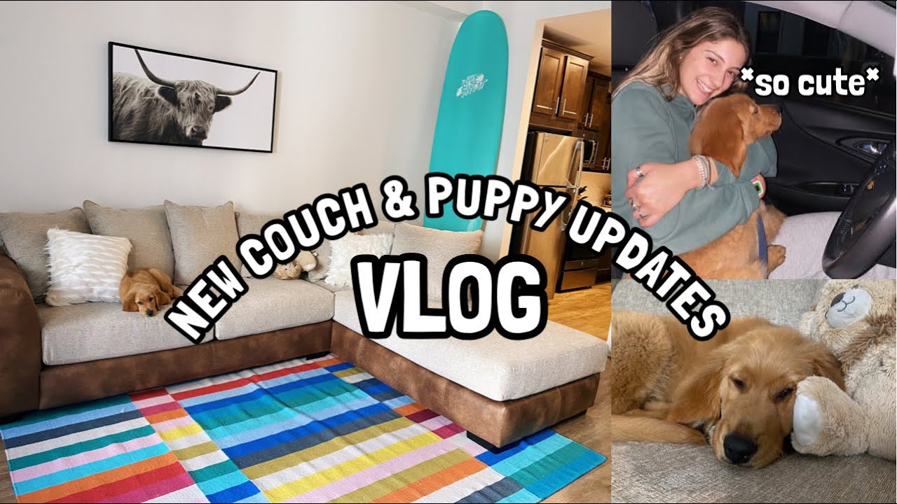 UPDATES VLOG | new couch & lots of Benji!