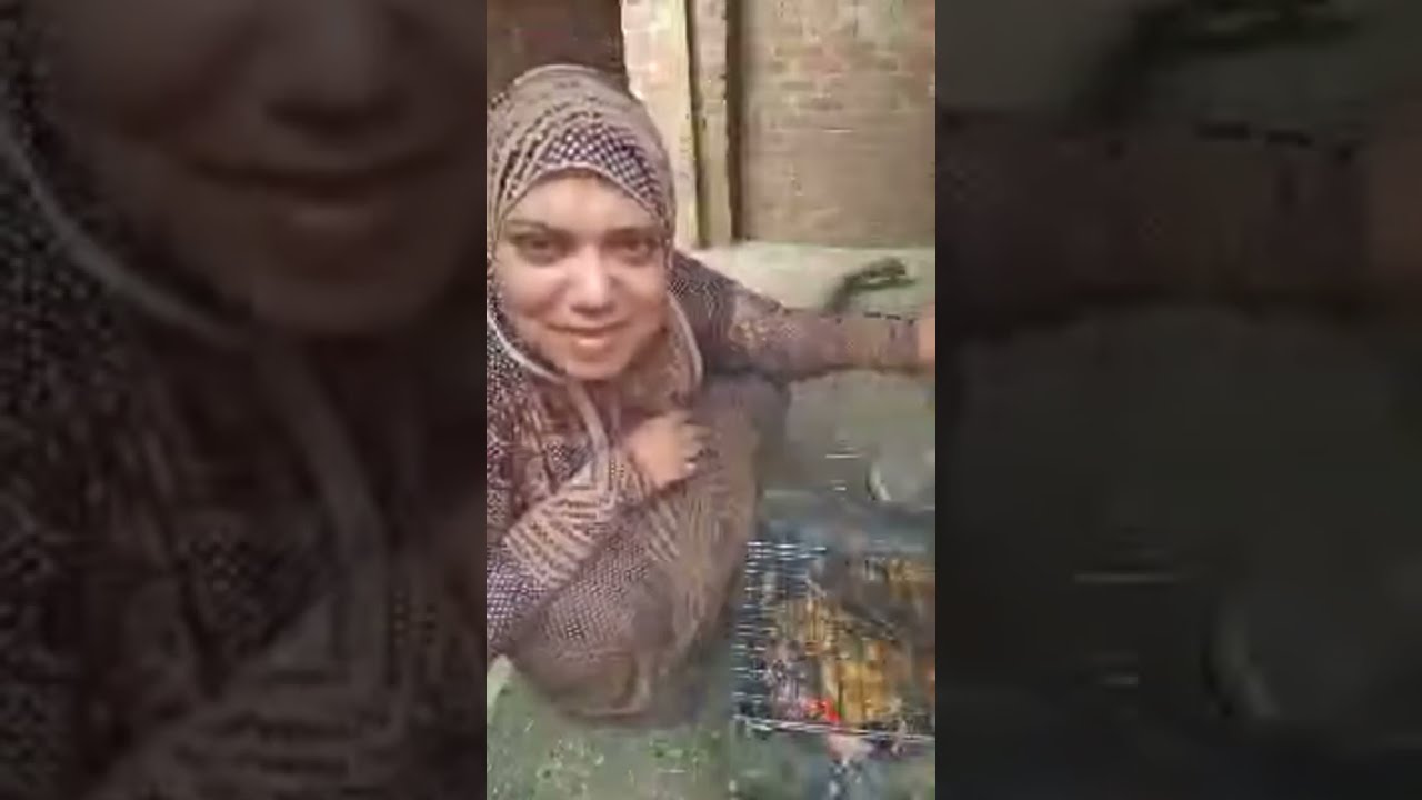 أحلي فراخ مشويه علي الفحم من مطبخ ام يوسف ح
