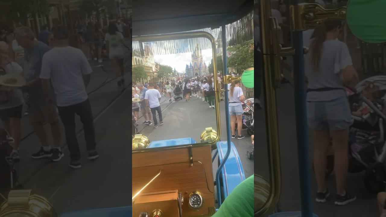 Have you used the Disney Transportation to go down Main Street at Magic Kingdom? Truly Magical!