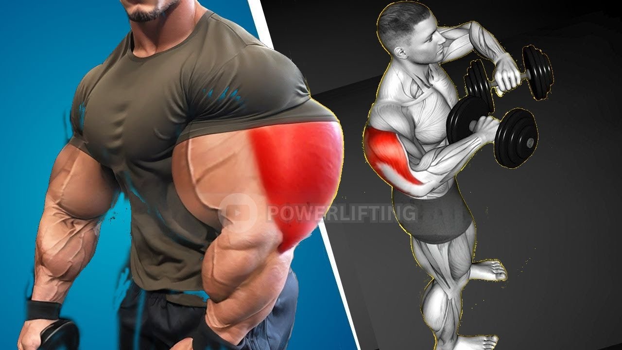 6 Simple Exercises to Get Bigger Triceps In No Time