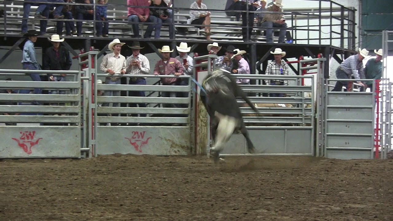 Foley Bucking Bulls' 59 Canadian Zombie scores 84.25 points (ABBI)