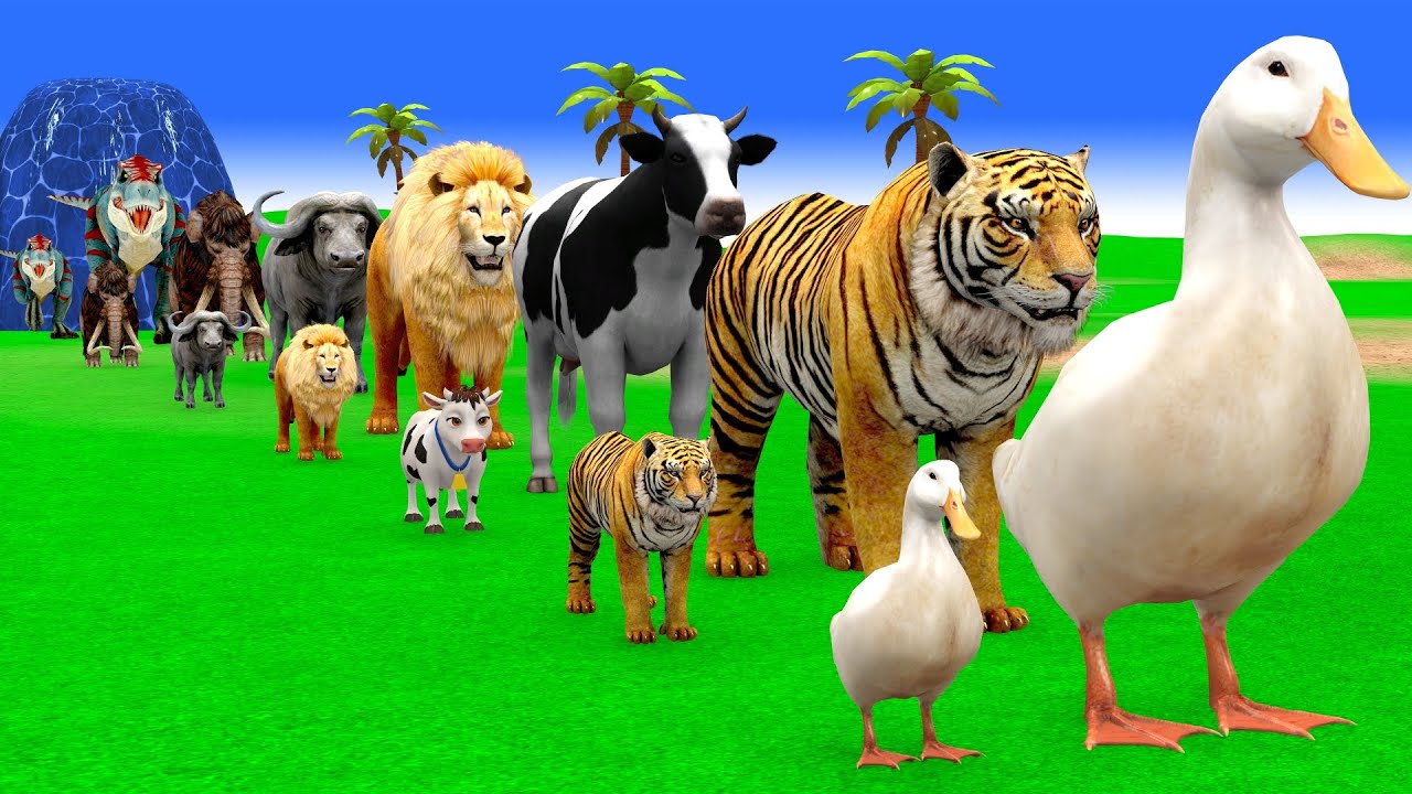 Long Slide Game with Cow Elephant Gorilla Hippopotamus Tiger 3d Animal Game Funny 3d Animals