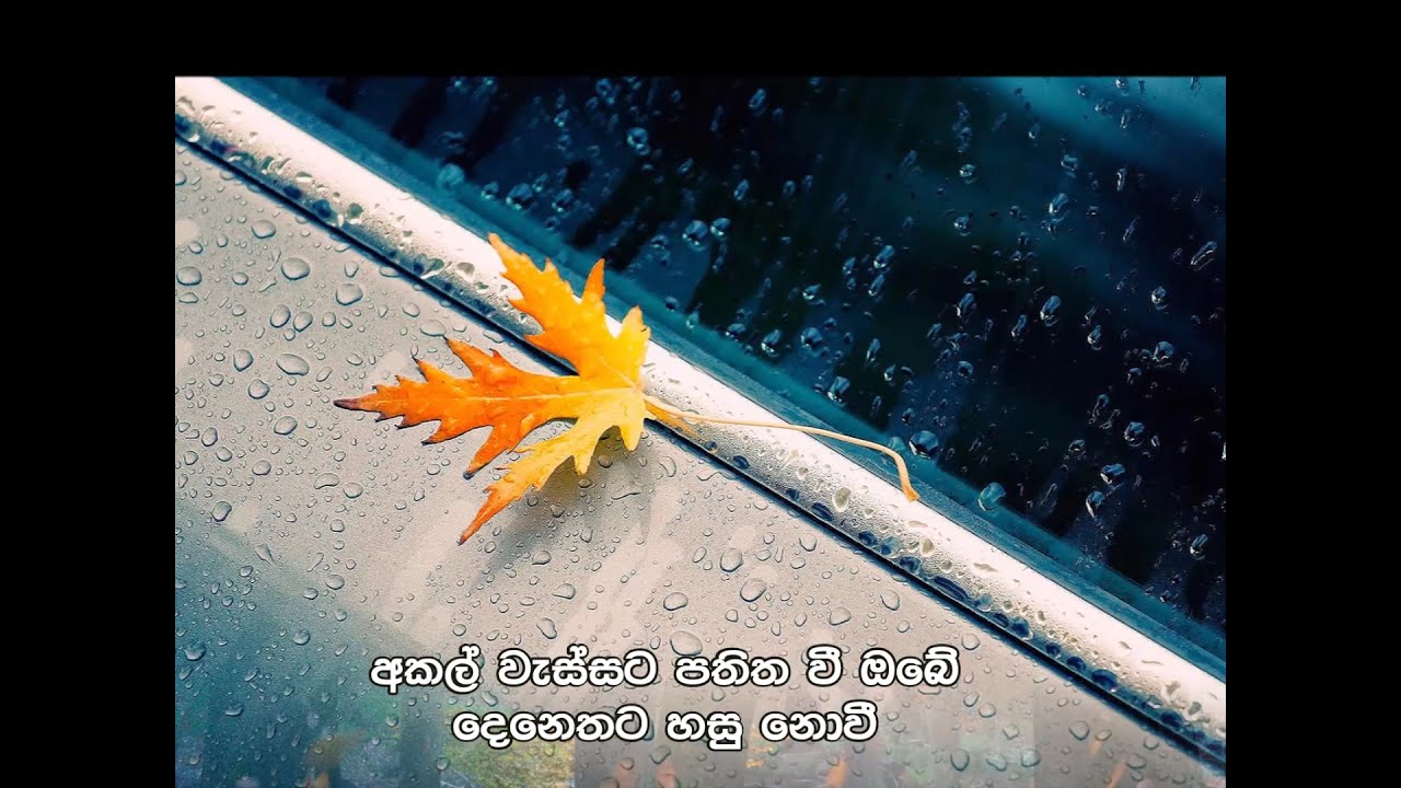 අකල් වැස්සට AKAL WASSATA - SANKHA DINETH - NARADA WIJESURIYA