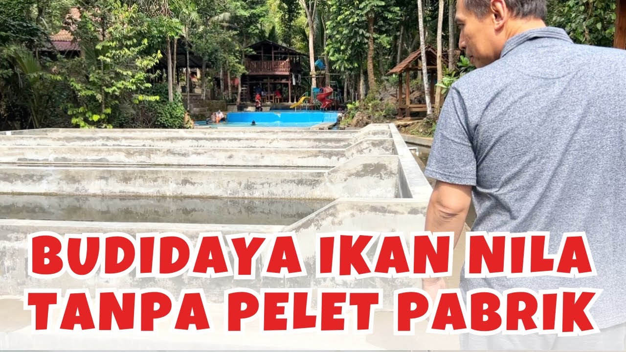 Konsep Aquafarming Membuat Kita Mandiri Pakan