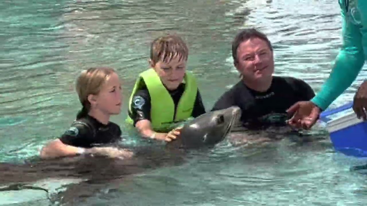 Swimming with Sam, The Sea Lion at Atlantis resort