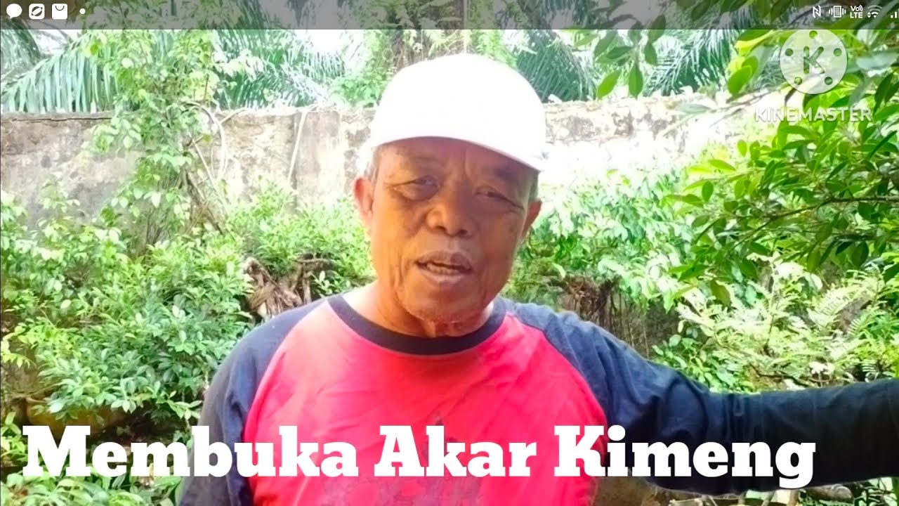 Membuka Akar Kimeng