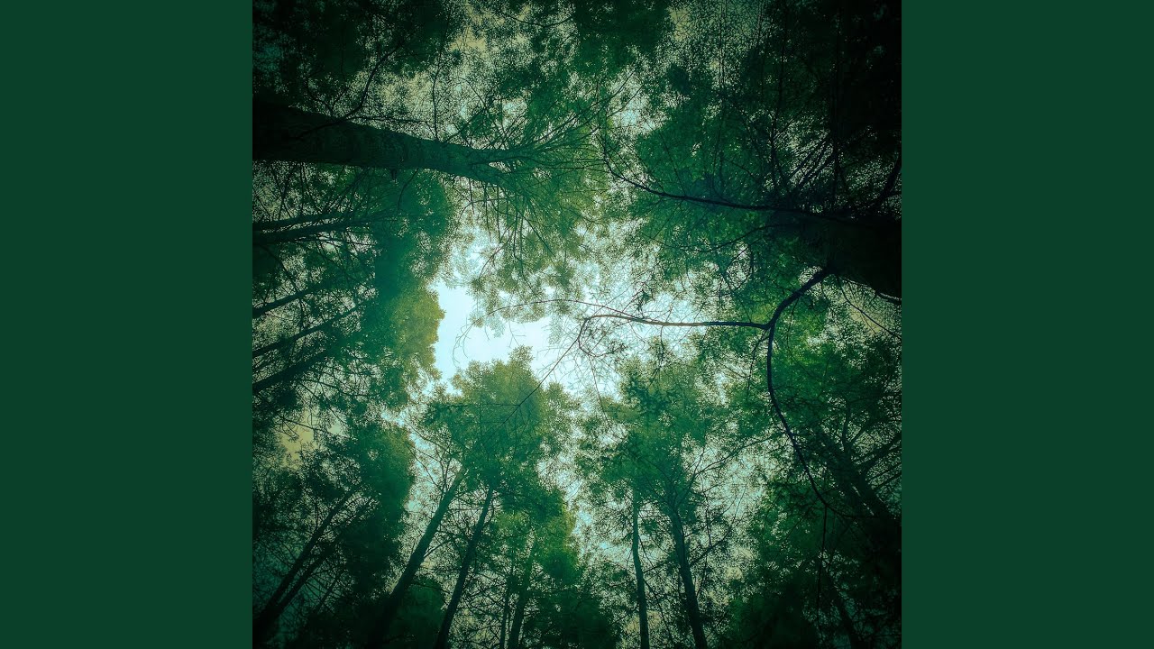 Into the Light (Wish You Well)