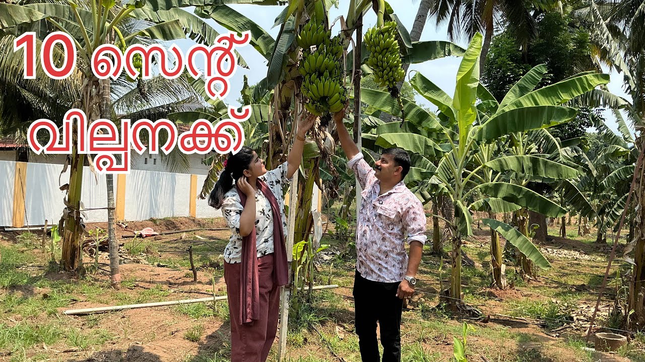 #NP1080# സൂപ്പർ സ്ഥലം വില്പനക്ക് #മനോഹരമായ പ്രദേശം#House plot for sale#Muthalamada#near Govindapuram