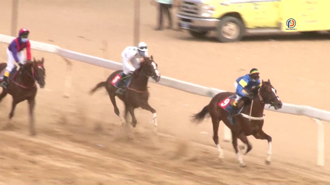 1ére courses - Courses Hippiques Hippodrome Ndiaw Macodou DIOP : 5ème Journée