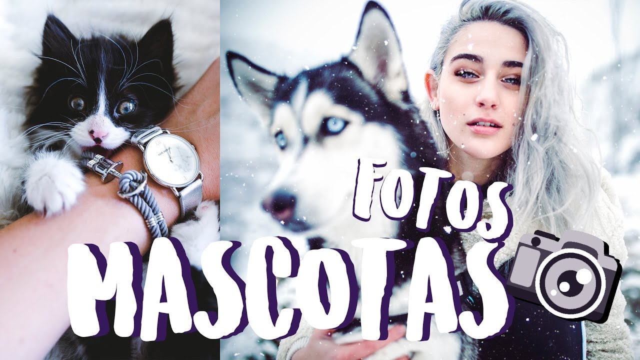 COMO HACER FOTOS CON MASCOTAS