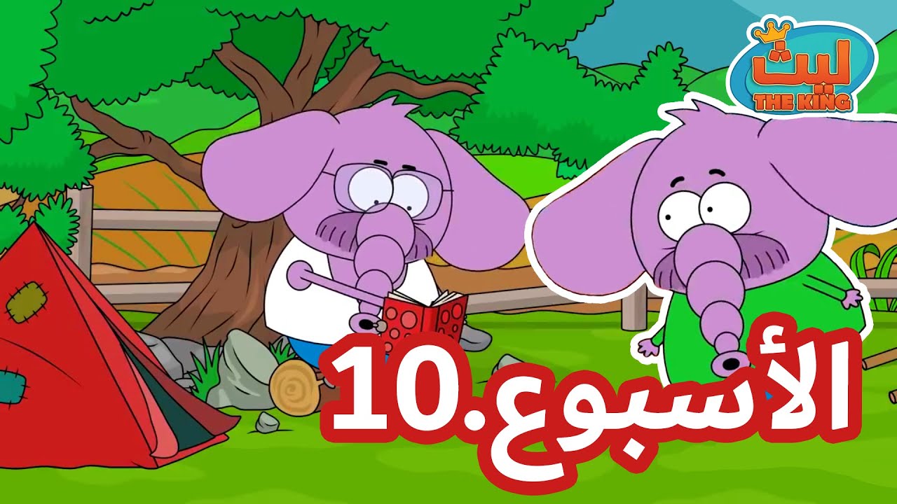 عطلة فلافيلو الرائعة | الأسبوع 10