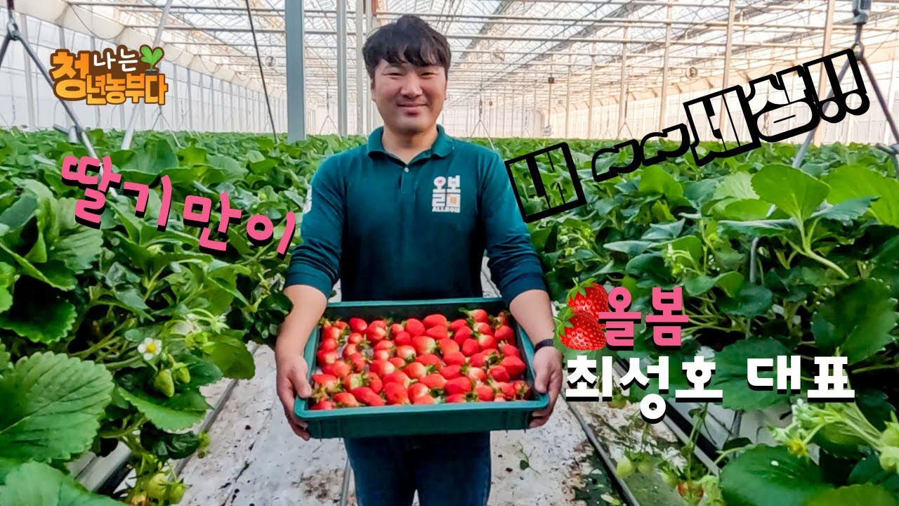 [어쩌다농부]나는청년농부다(의성 올봄농장_최성호대표)