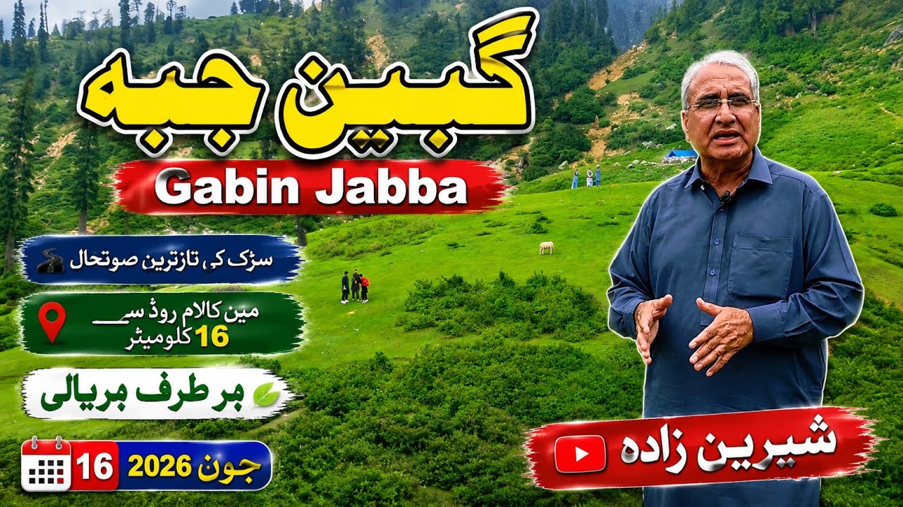 Gabin Jabba Latest Road Update | Only 16 KM from Kalam Road | Beautiful Meadows گبین جبہ سیاحتی مقام