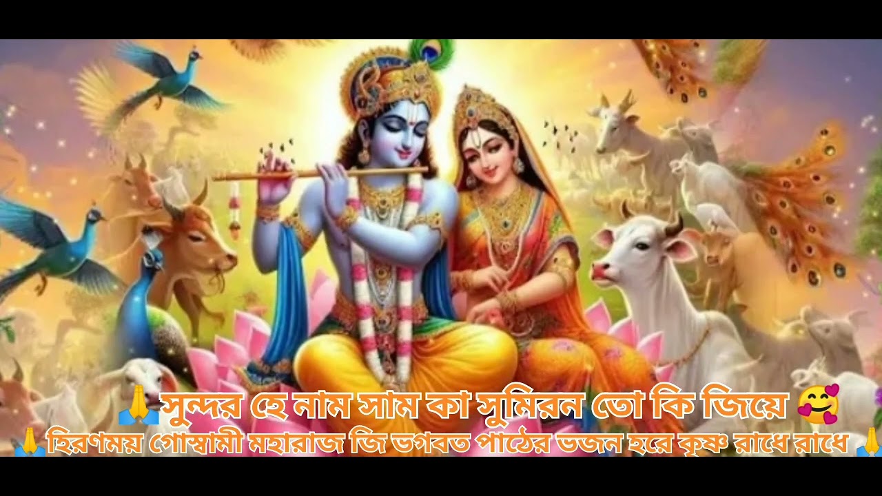 সুন্দর হে নাম শ্যাম কা সুমিরন | হিরণ্ময় গোস্বামী মহারাজের ভাগবত ভজন | হরে কৃষ্ণ রাধে রাধে 🙏🌼