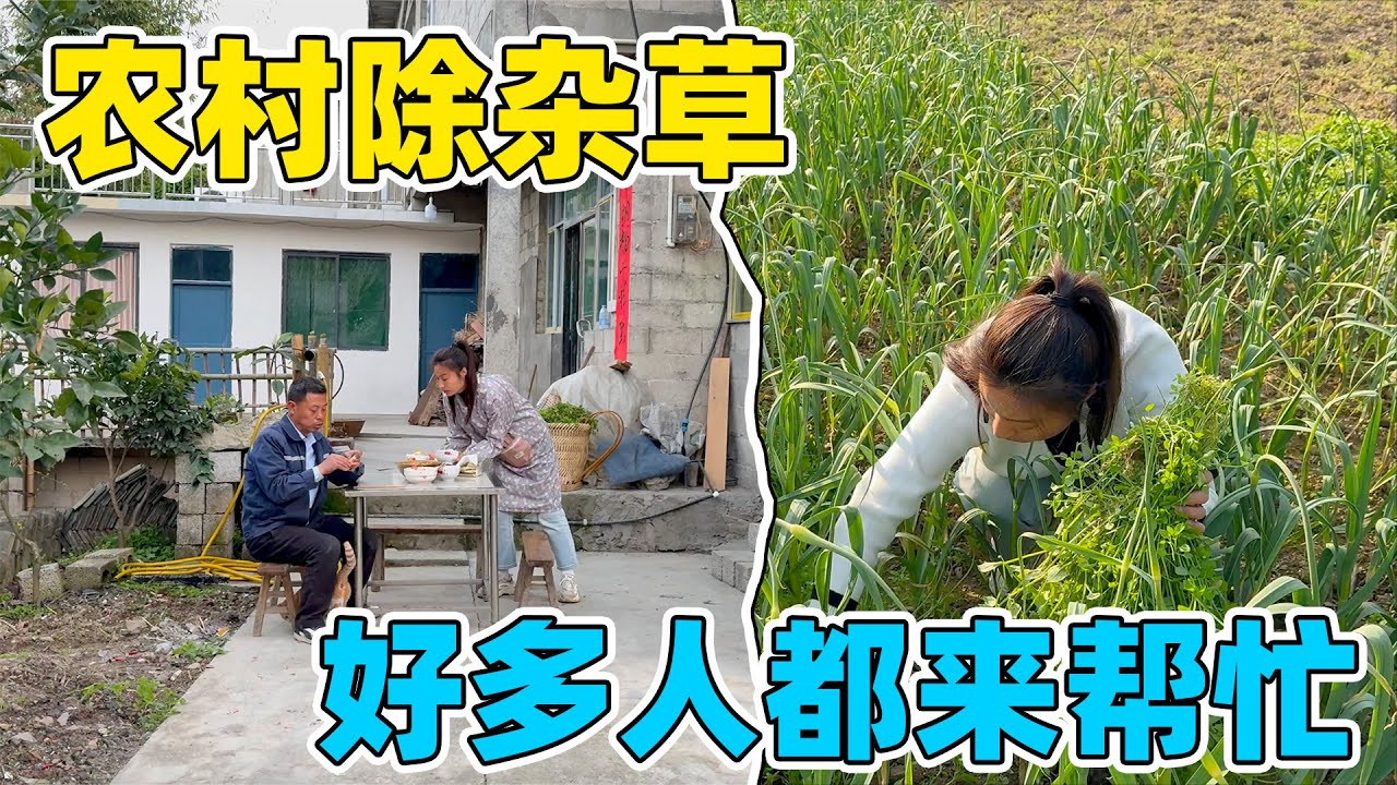 爸爸在老家每天都是辣椒拌饭，我们回村后老爸可开心了，他说一个人在家还是太孤单了