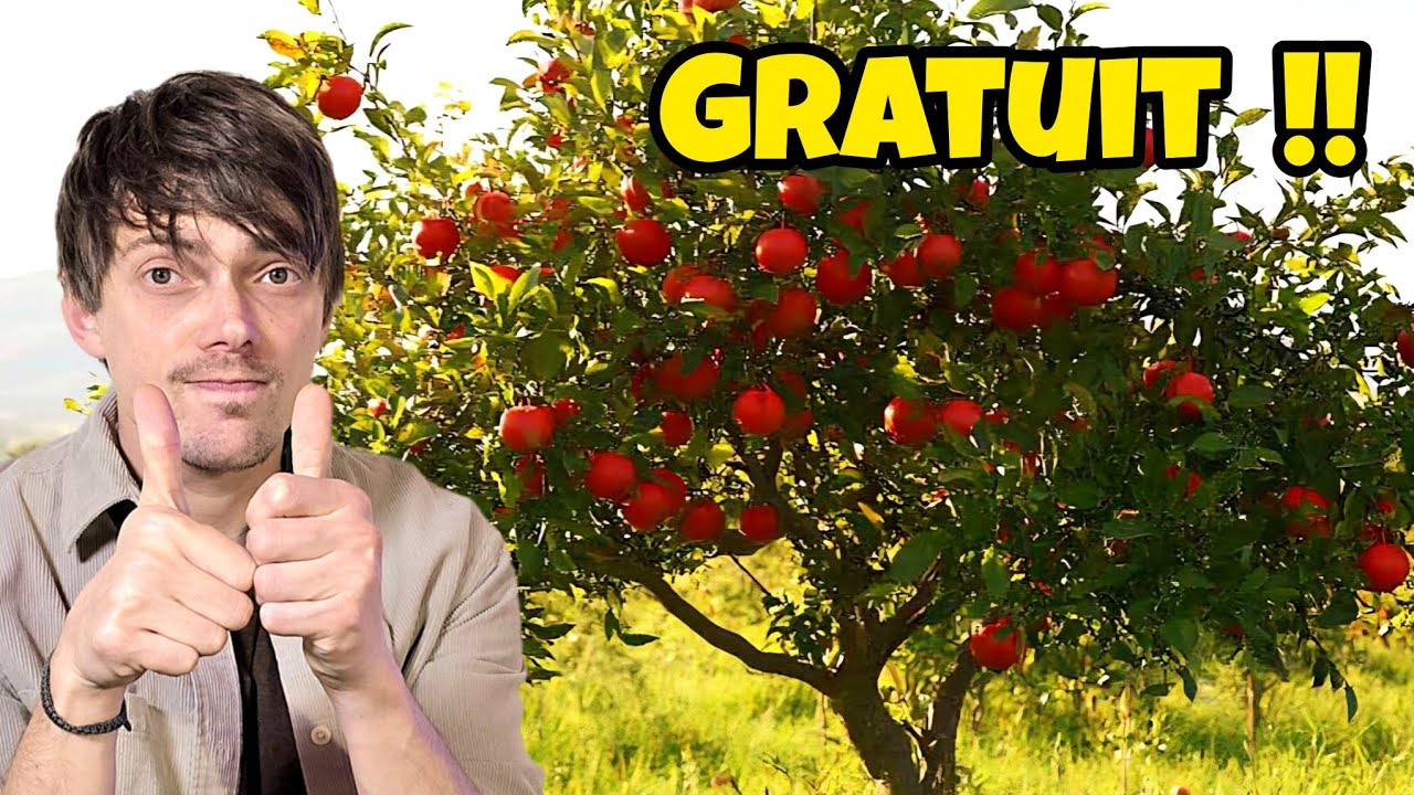 Comment avoir des arbres FRUITIERS GRATUITS en illimité