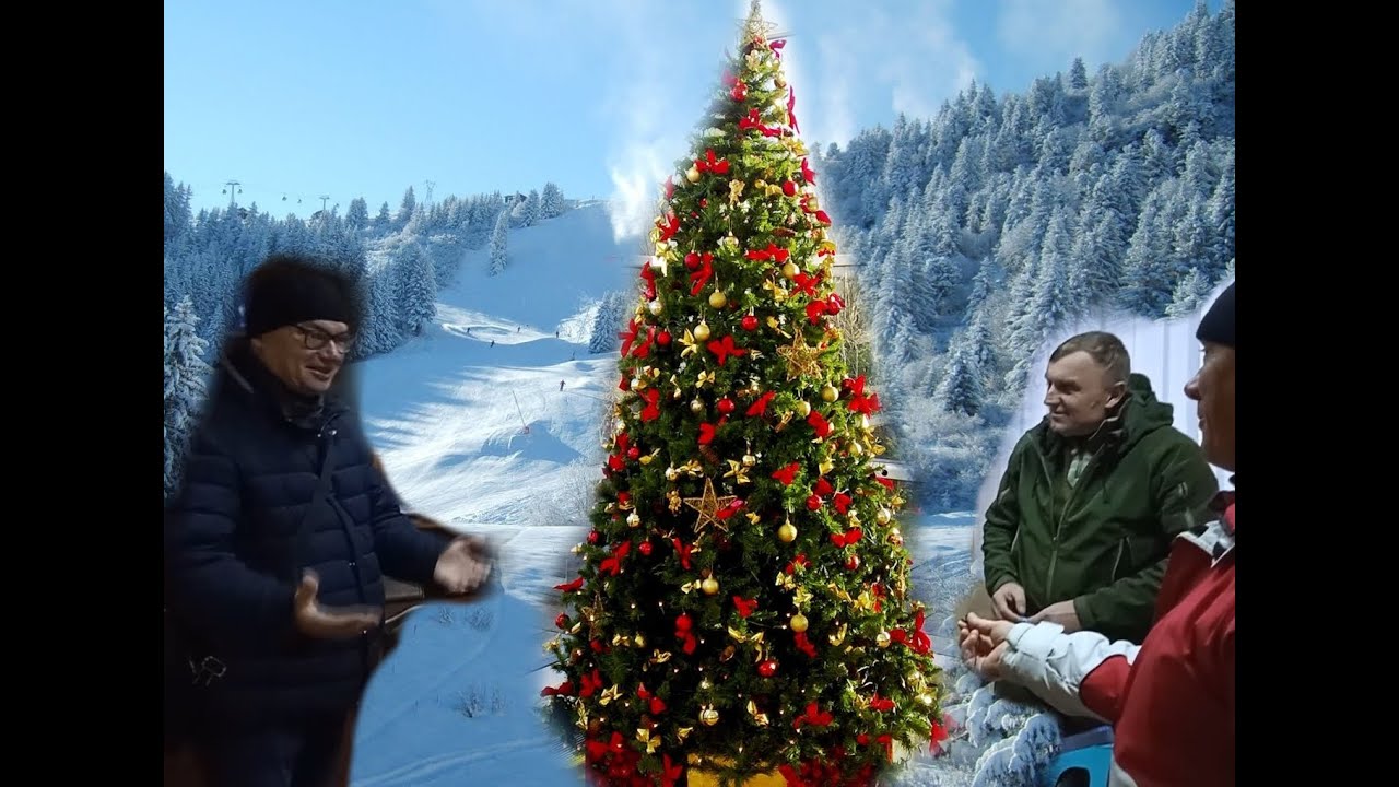 Лохвиця, Заводське, Сенча. Де можна купити ялинку? І скільки КОШТУЄ ЇЇ ВКРАСТИ!